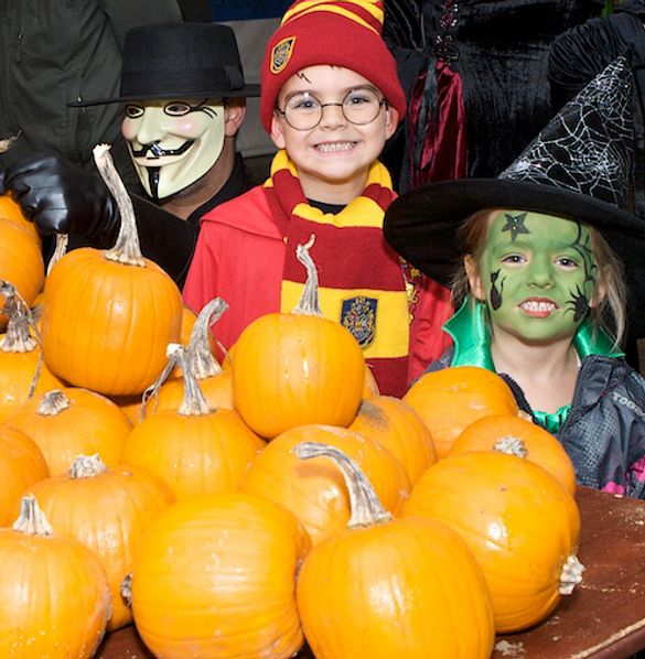 Halloween at the Kent & East Sussex Railway
