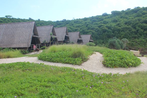 11 natural huts set up in the national park