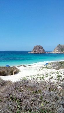 11 natural huts set up in the national park