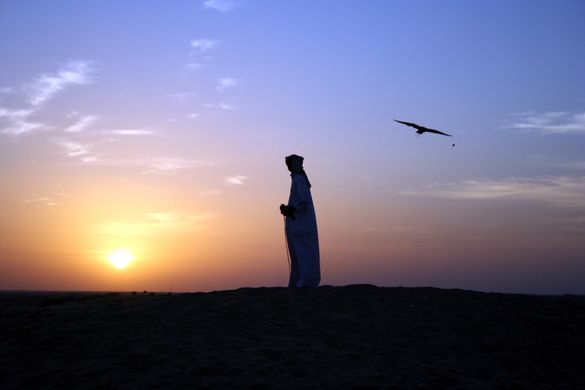 Naseer the Falconer at Qasr Al Sarab Desert Resort by Anantara 