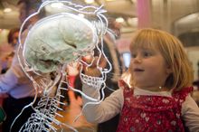 At-Bristol - Real Brain exhibit 