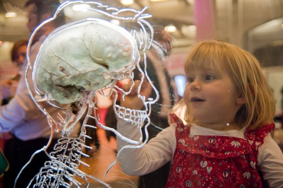 At-Bristol - Real Brain exhibit 