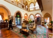 Five star treatment for dogs and humans at Ashdown Hotel and Spa