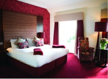 Pampered pets will love the Bonham Hotel, Edinburgh