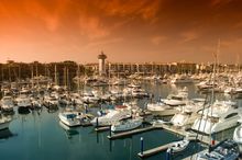Puerto Vallarta Tourism will see 118 cruises call on its shores this year, 43 % over 2013.