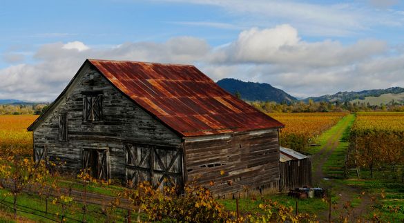 Enjoy the brilliant colors in the vineyards as Sonoma County eases into autumn.