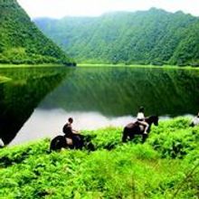Horseback riding on the Island