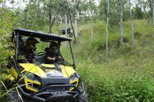 Wings Adventure Park