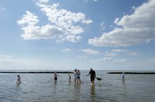 The Wadden Sea