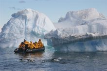 Zodiac and penguins