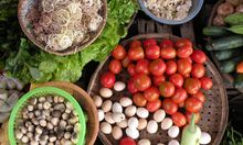 Food Ingredients, Vietnam
