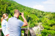 Guests take advantage of nature and enjoy guided morning bird watching in Pico Bonito National Park in Honduras