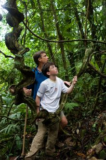 Guests enjoy a thrilling rainforest hike at Pico Bonito