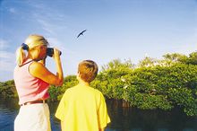 Bird Watching