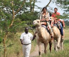 Camel Rides at Sweetwaters Camp