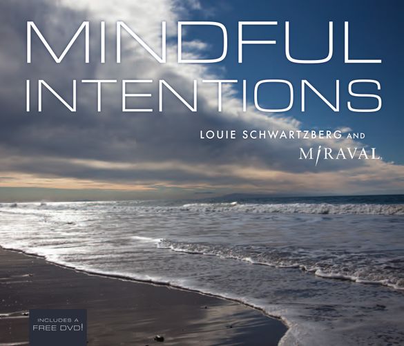 Mindful Intentions - Book Cover