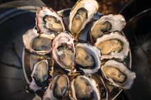Get Shucked Bruny Island Oysters