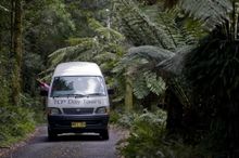 TCP Day Tours shows you the best of the Blue Mountains