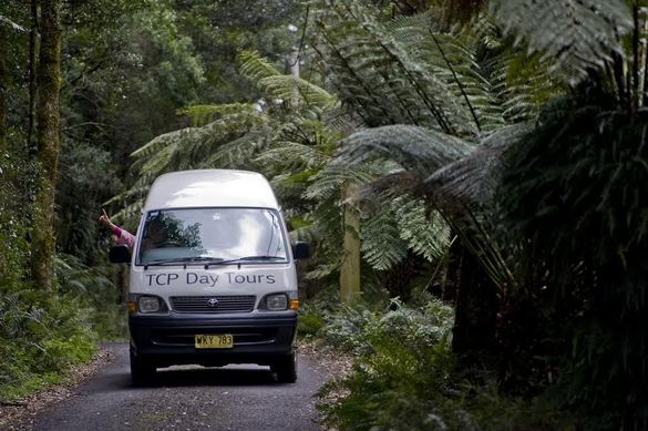TCP Day Tours shows you the best of the Blue Mountains