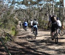 Bike riding with TCP Day Tours is a great way to team bond or reconnect with your family.
