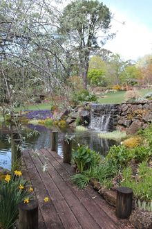 See master gardening at its best in Mt Wilson on a TCP Garden Tour.