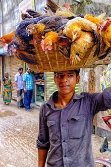 Bangladesh
