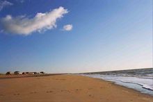Camber Sands