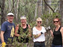 satisfied locals with some of the Boneseed weeds they've removed on Koala Conservation Day