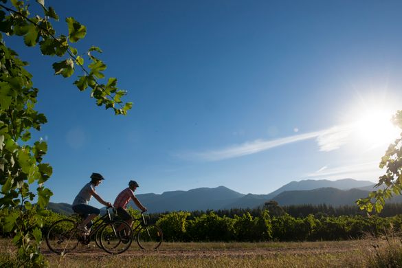 Cycling the Murray to Mountains Rail Trail