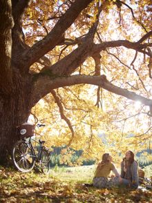 Gourmet cycling in Victoria's High Country