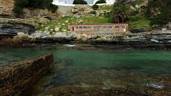 SASC works out of the Old Harbour in Hermanus where volunteers will spend their time. SASC works out of the Old Harbour in Hermanus where volunteers will spend their time.