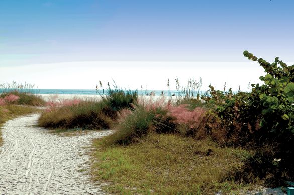 Siesta Key Beach, best in America, 2011 Dr. Beach 