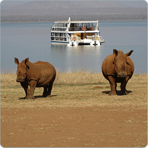 Shayamanzi Houseboat and Rhino