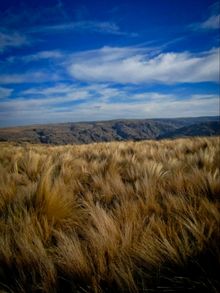 View its exquisite landscape1