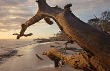 Big Talbot Island, FLORIDA