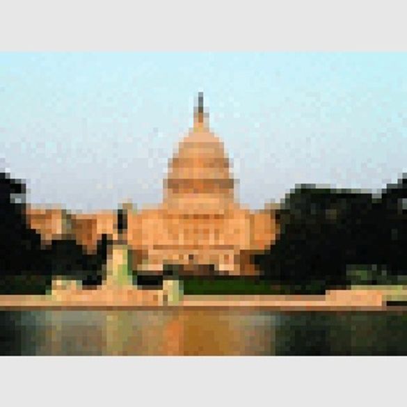 The Capital