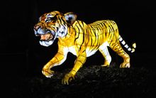 Chester Zoo's Lantern Magic Event