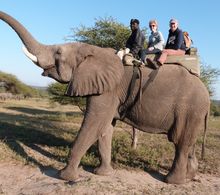 Time-out on a South African safari