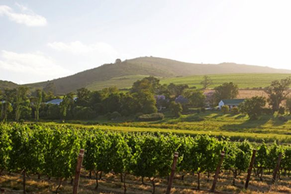 Bottelary Heuwels from Hatenberg