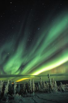 Northern Lights in the Yukon