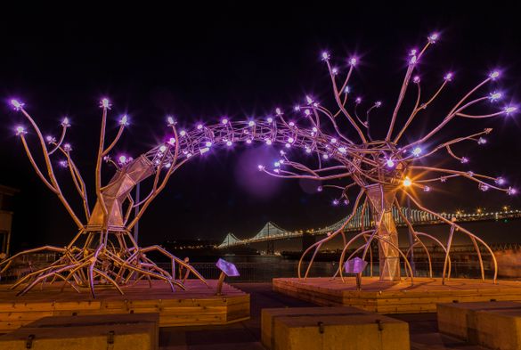 Flaming Lotus Girls_Soma