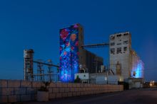 Haddad-Drugan_Bayview Rise