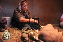 Karien Smith and Matimba