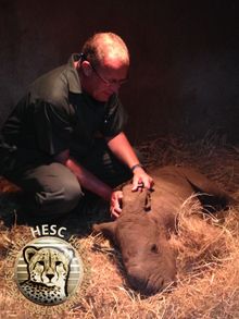 Dr Rogers and Matimba