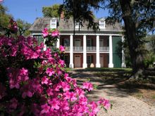 Shadow on the Teche