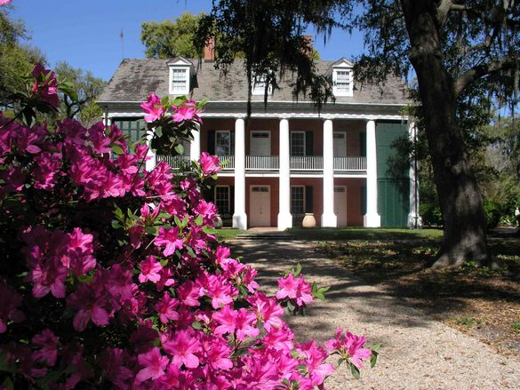 Shadow on the Teche