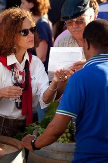 Stellenbosch Street Soiress