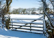 Trelash, North Cornwall: Snow covered meadows