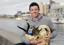 Rory McIlroy meets a local kangaroo joey in Sydney_ _DominicLoneragan_DestinationNSW