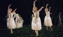 Spier Festival of white lights Ballerinas Toes